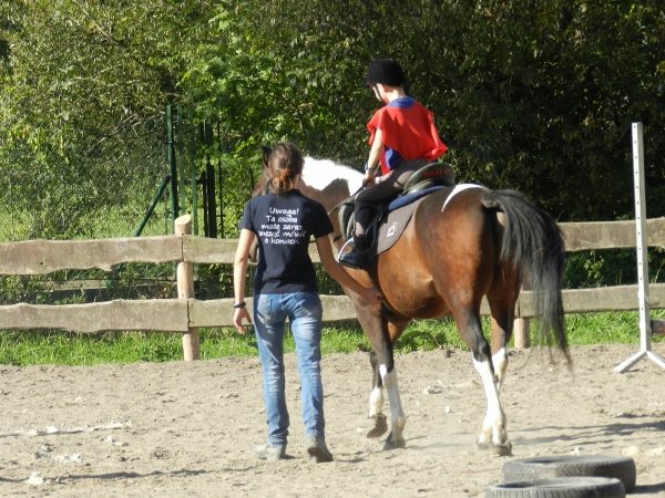 Babie Lato 2015